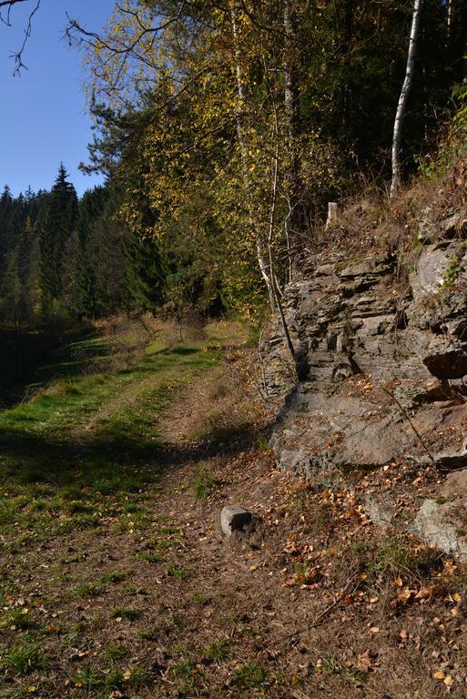 Pension Najdek Zďar nad Sazavou Bagian luar foto